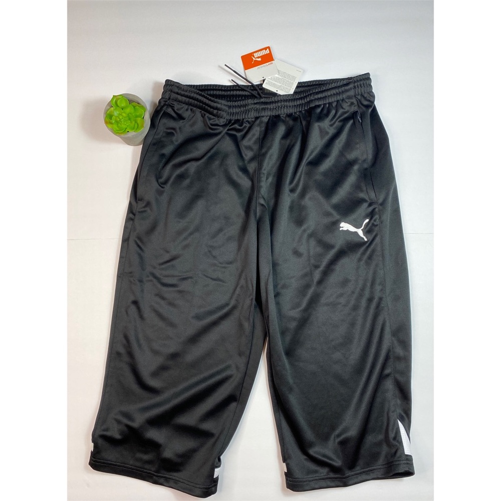 🔥 Puma Mens Shorts Size Large NWT 🔥